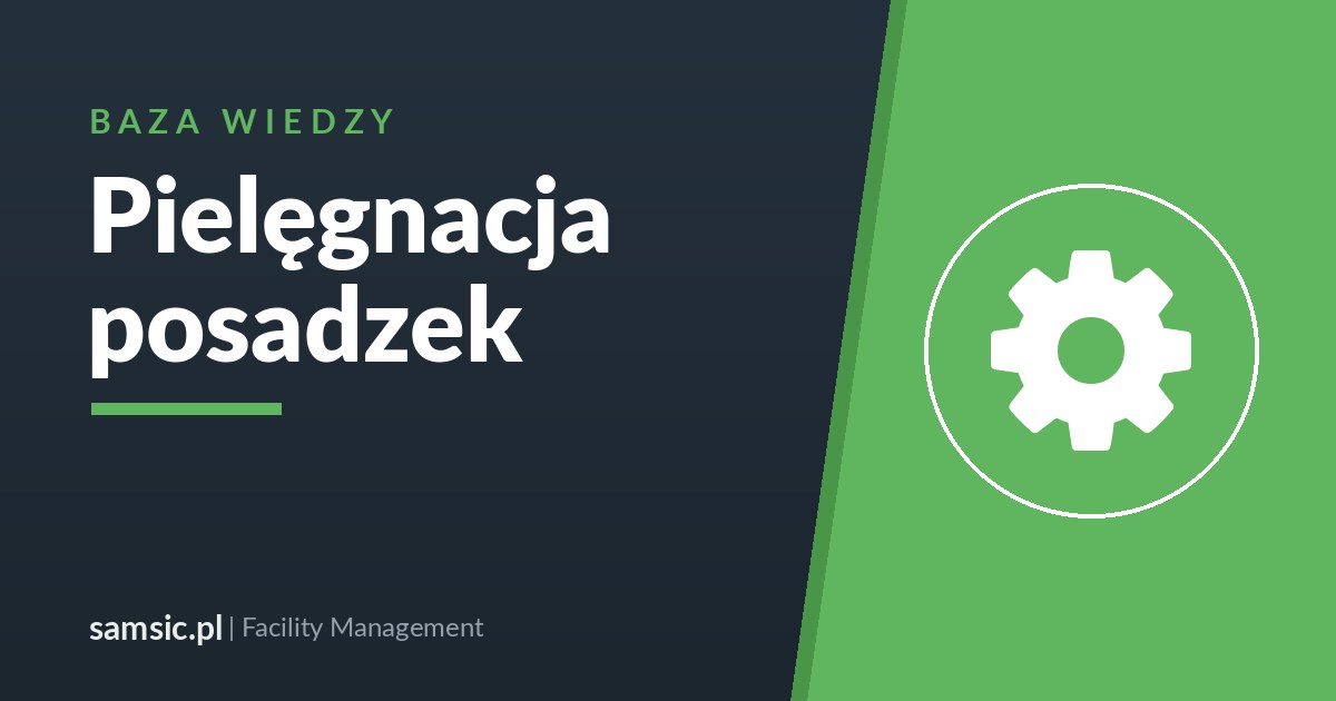 Pielęgnacja i polimeryzacja posadzek – Samsic facility management